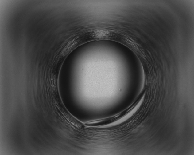 X0000052650421200507160228