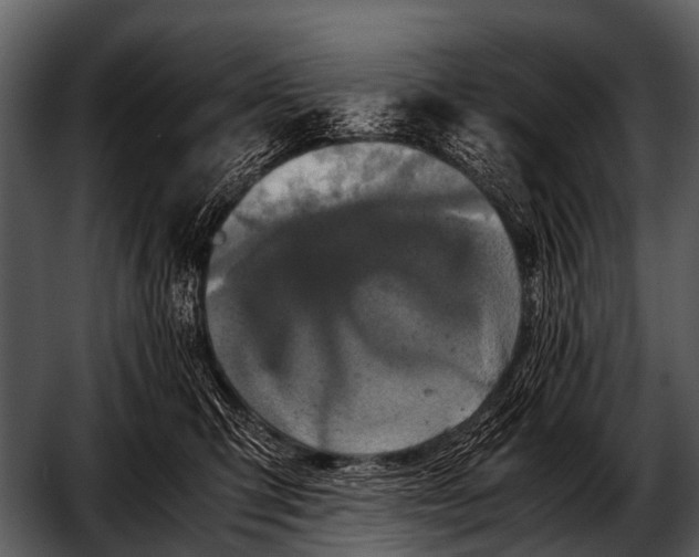 X0000052650423200507160228