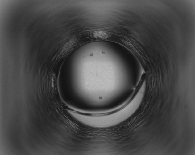 X0000052650424200507160228