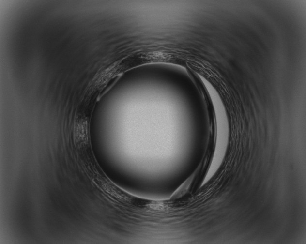 X0000052650425200507160228