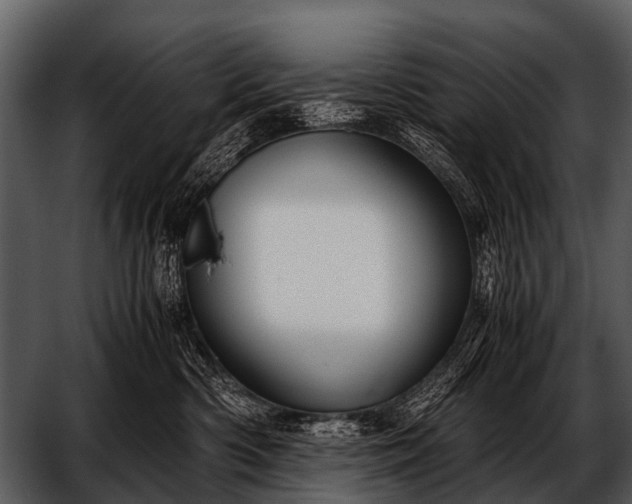 X0000052650426200507160228