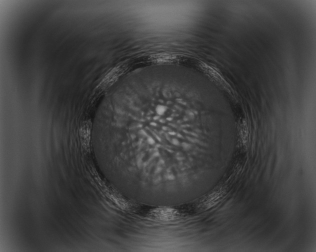 X0000052650427200507160228