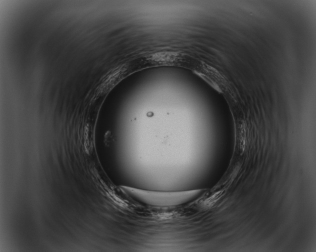 X0000052650428200507160228