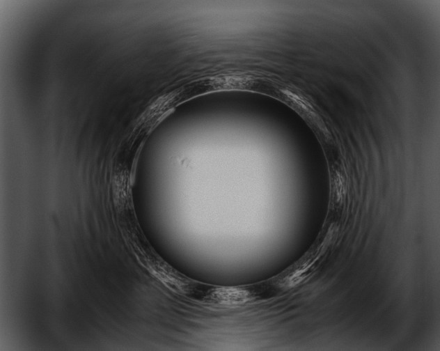 X0000052650429200507160228