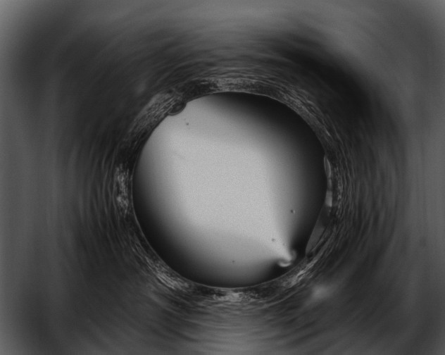 X0000052650430200507160228