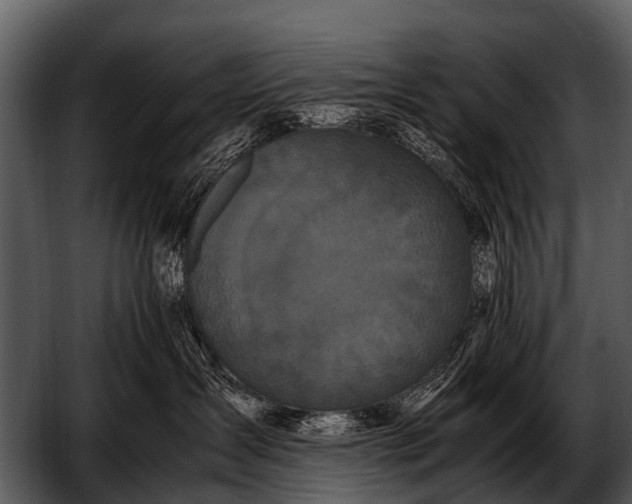 X0000052650431200507160228