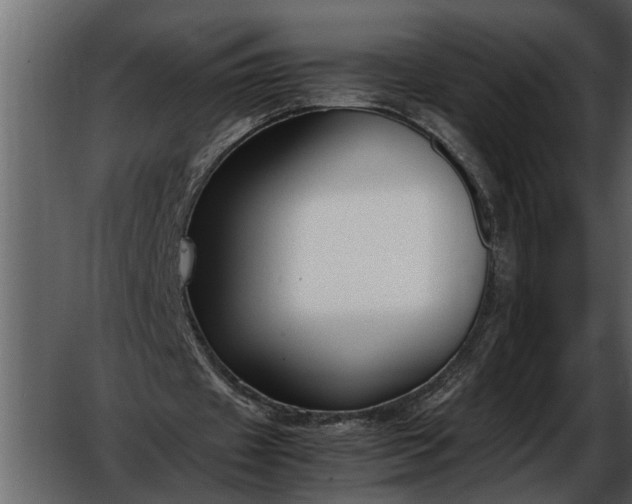 X0000052650433200507160227