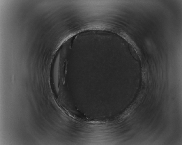 X0000052650434200507160227