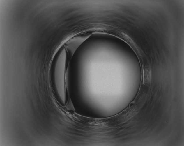 X0000052650435200507160227