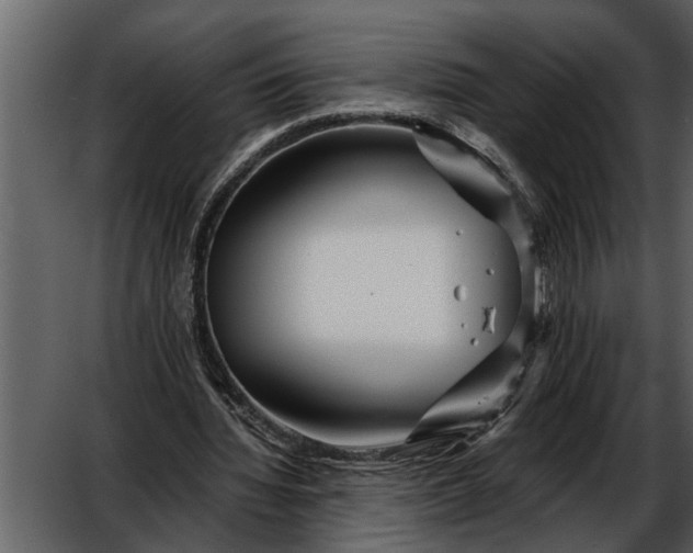 X0000052650436200507160227