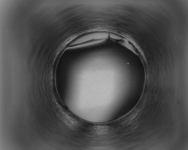 X0000052650437200507160227