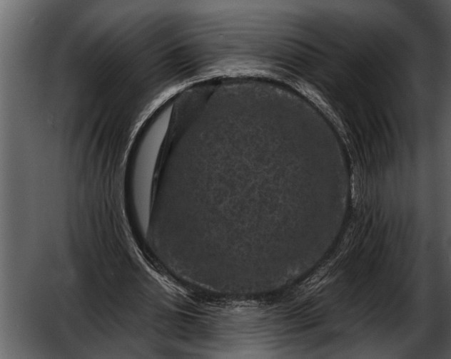 X0000052650438200507160227