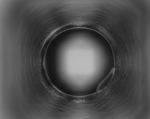 X0000052650440200507160227