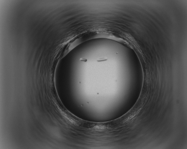 X0000052650441200507160227