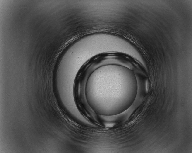 X0000052650442200507160227