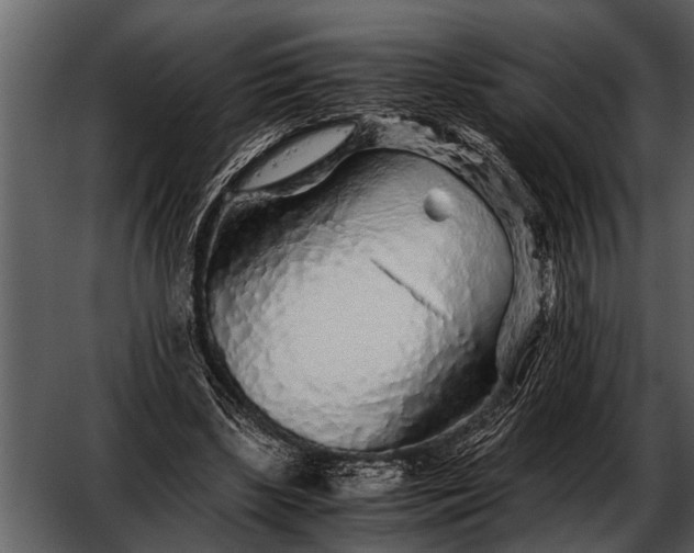 X0000052650443200507160227