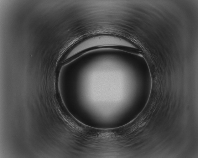 X0000052650446200507160227