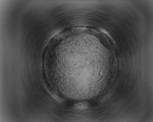 X0000052650447200507160227