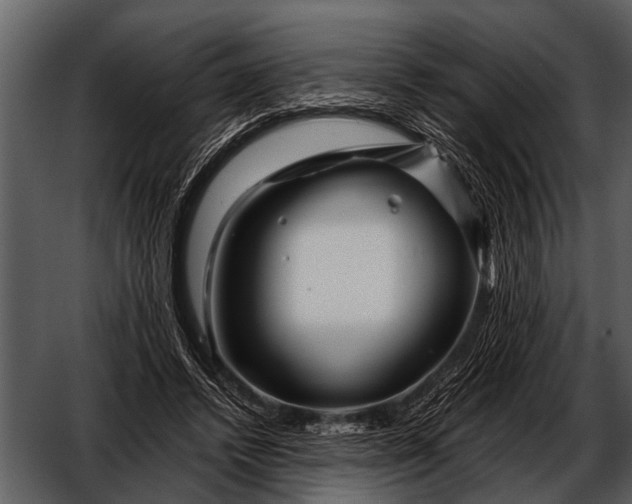 X0000052650448200507160227