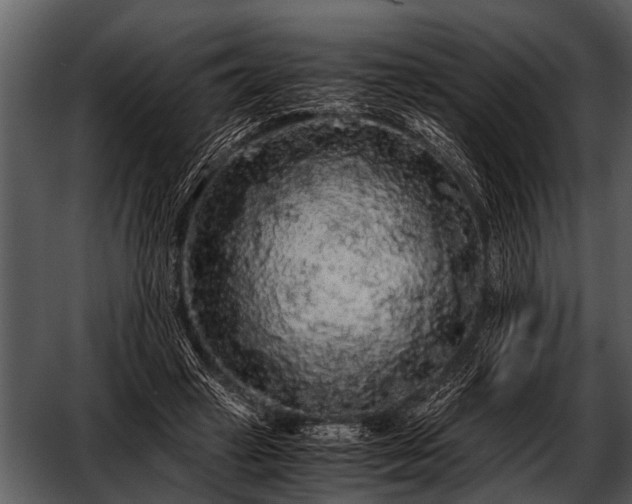 X0000052650449200507160227