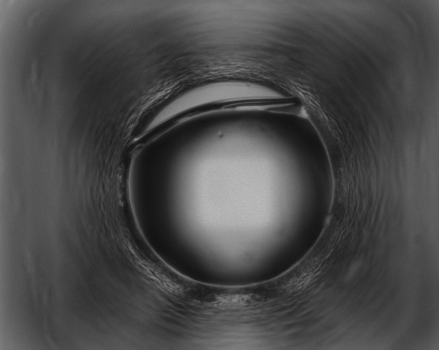 X0000052650450200507160227