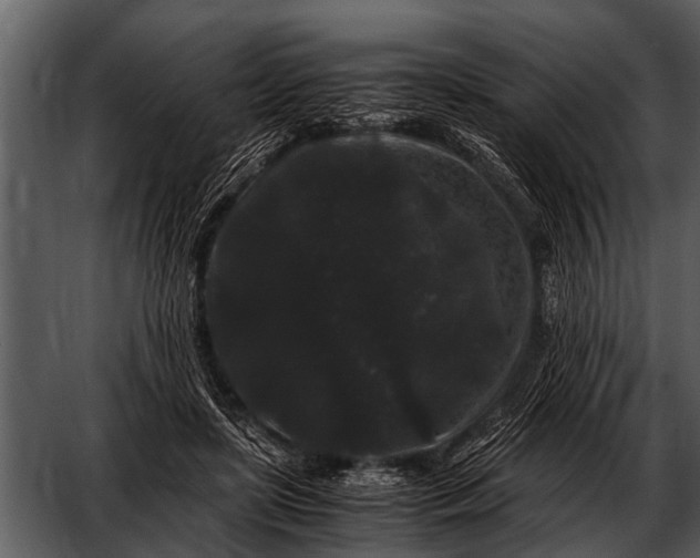 X0000052650451200507160227