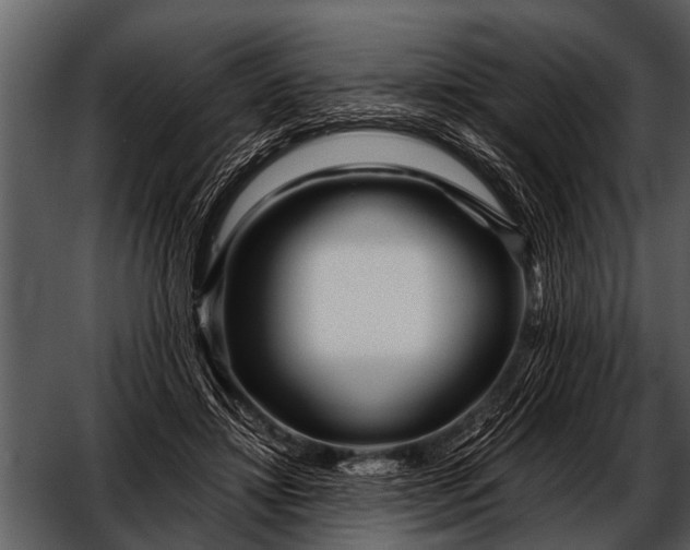 X0000052650452200507160227