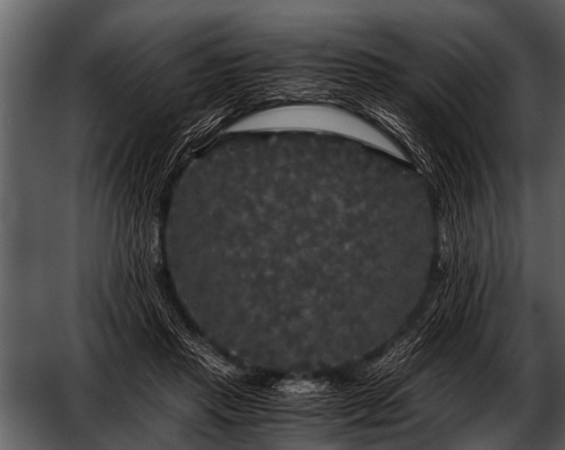 X0000052650453200507160227