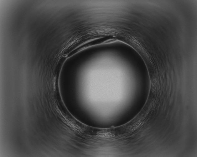 X0000052650454200507160227