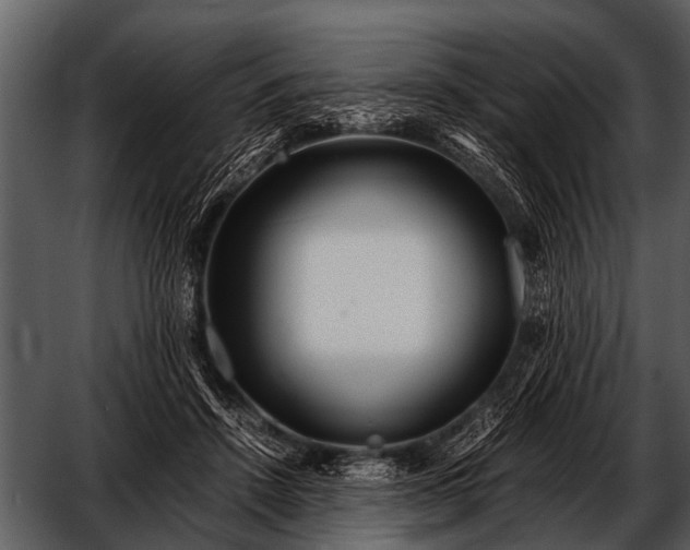 X0000052650456200507160227