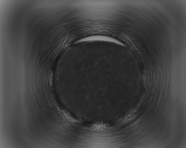 X0000052650458200507160228