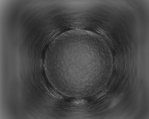 X0000052650459200507160228