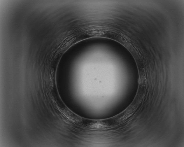 X0000052650460200507160228