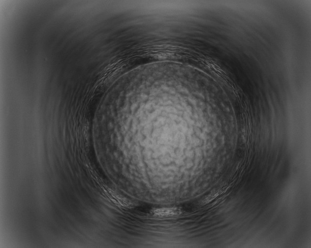 X0000052650461200507160228