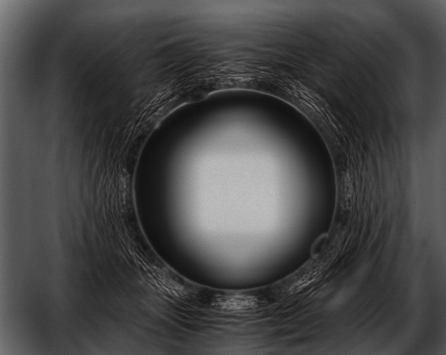 X0000052650463200507160228