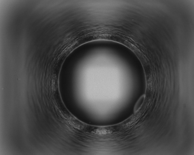 X0000052650464200507160228