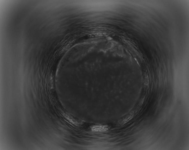 X0000052650465200507160228