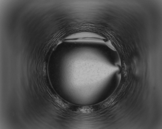 X0000052650466200507160228