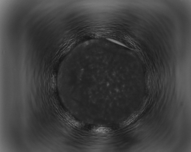 X0000052650467200507160228