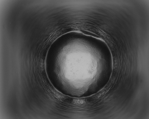 X0000052650469200507160228