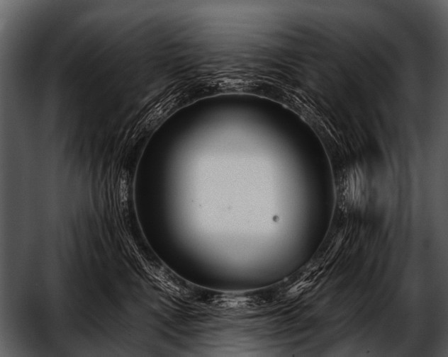 X0000052650472200507160228