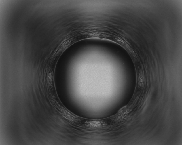 X0000052650473200507160228