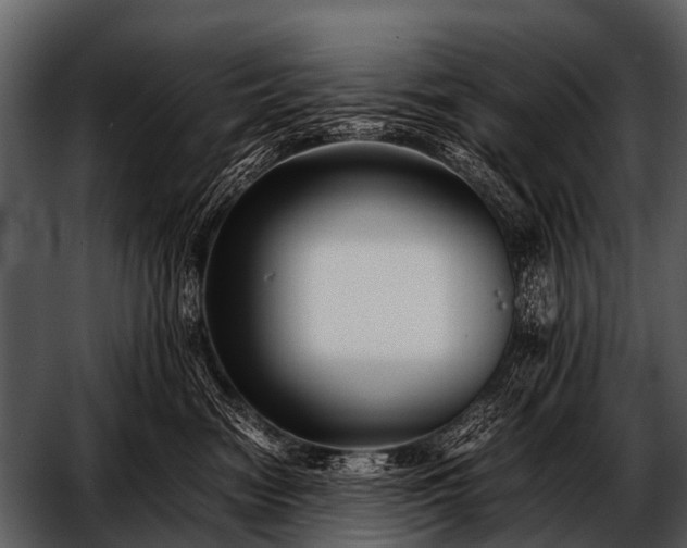 X0000052650474200507160228