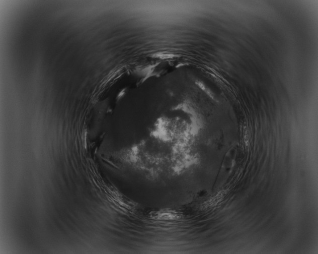 X0000052650475200507160228