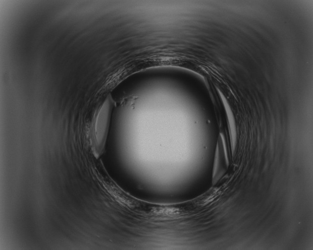 X0000052650476200507160228