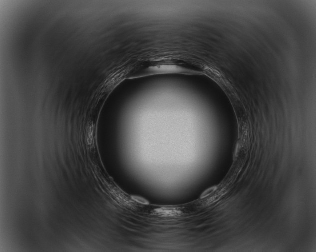 X0000052650477200507160228