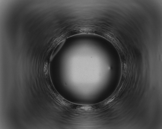 X0000052650478200507160228