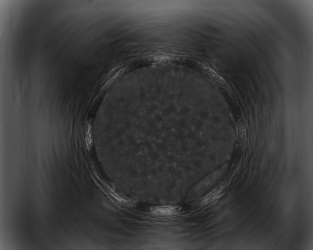 X0000052650479200507160228