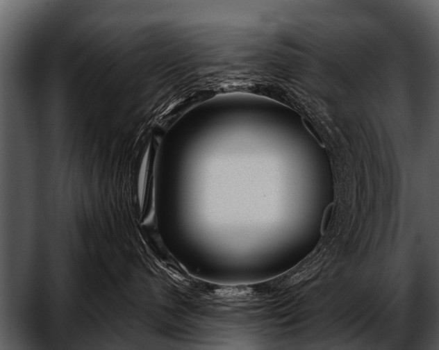 X0000052650480200507160228