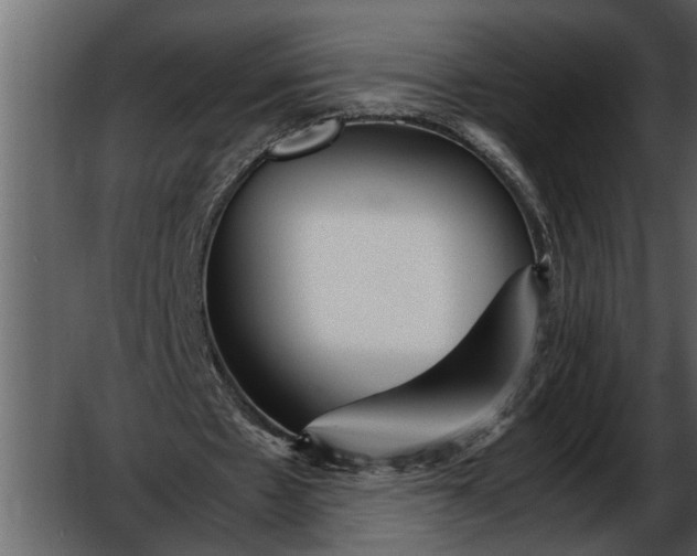 X0000052650481200507160227